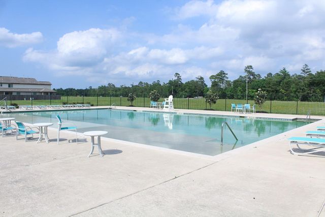 12243 Roy Mix Bohn Lane, Houston, TX 77044