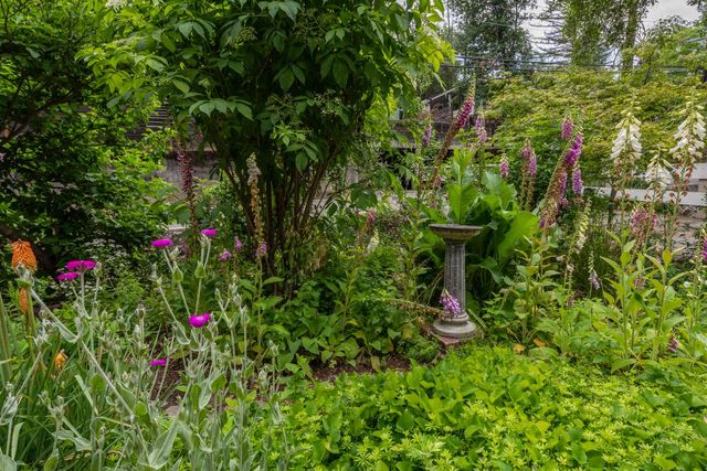 3166 Cedar Ravine Rd, Placerville, CA 95667