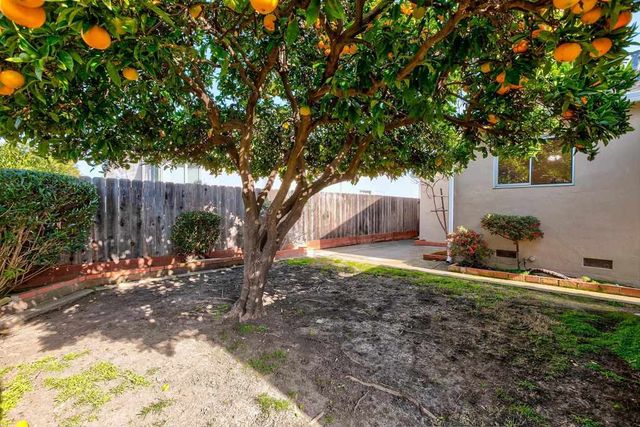 17437 Via Frances, San Lorenzo, CA 94580