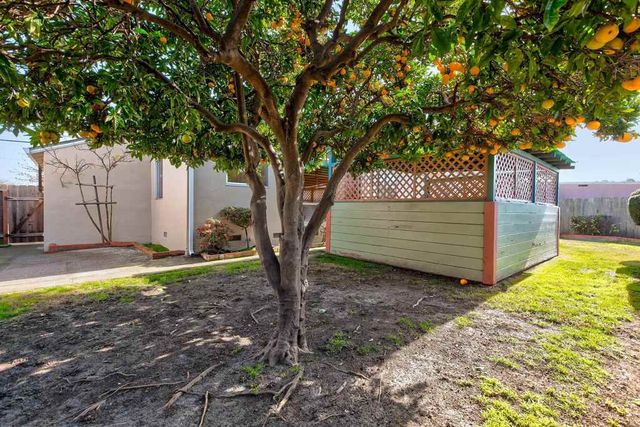 17437 Via Frances, San Lorenzo, CA 94580