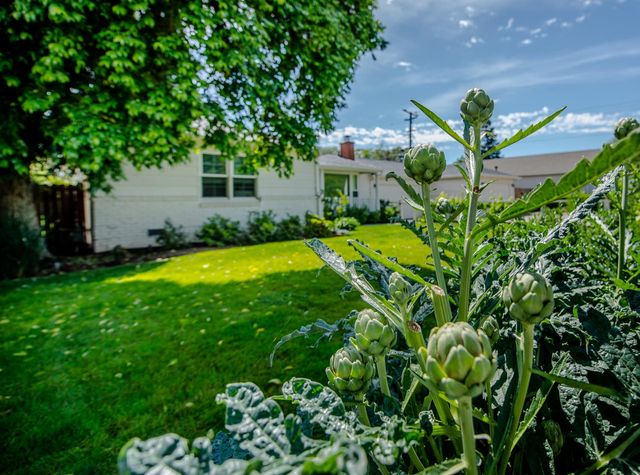 3310 Potter Lane, Sacramento, CA 95821