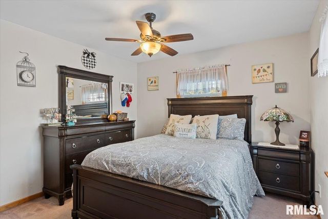 1005 N PARK Avenue, Chatham, IL 62629