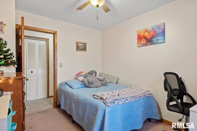 1005 N PARK Avenue, Chatham, IL 62629