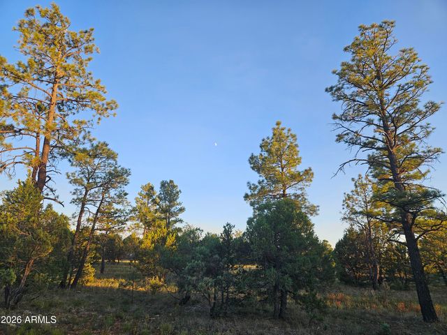 4843 BISON Trail, Lakeside, AZ 85929