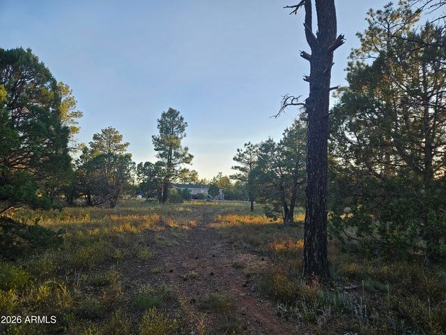 4843 BISON Trail, Lakeside, AZ 85929