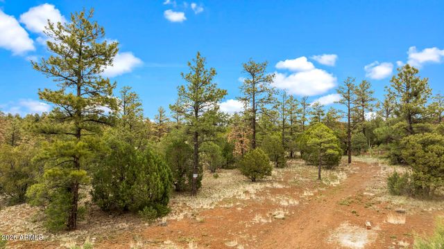 4843 BISON Trail, Lakeside, AZ 85929