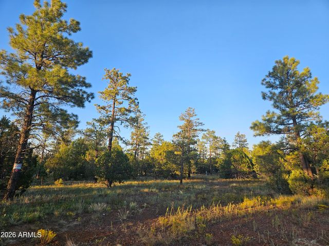 4843 BISON Trail, Lakeside, AZ 85929