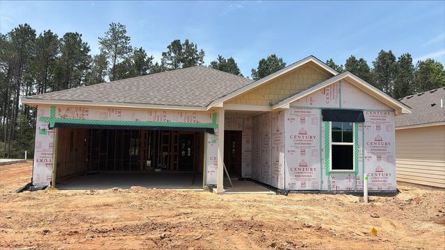 24750 Zinnia Blossom Drive, Montgomery, TX 77316