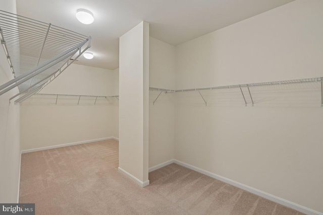 14305 DAWN WHISTLE WAY, Bowie, MD 20721