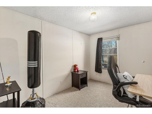 611 W Main St 15, Buena Vista, CO 81211