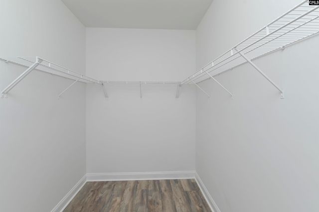 151 Mill House Lane, Lexington, SC 29072