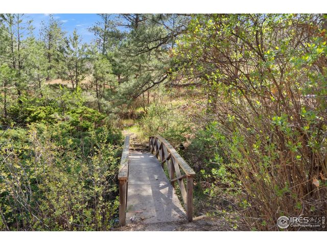 7301 Poudre Canyon Rd, Bellvue, CO 80512