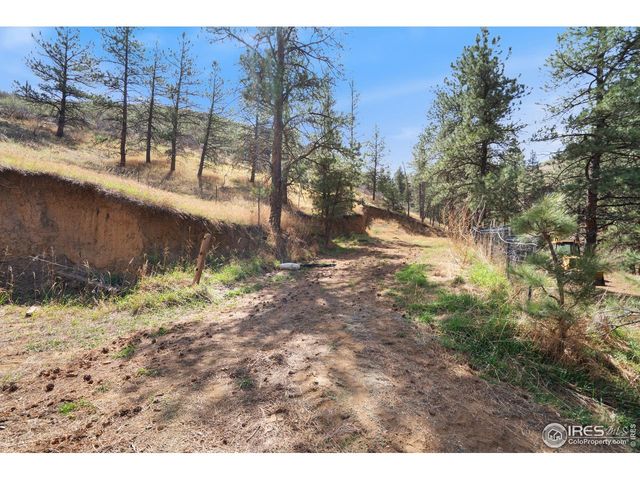 7301 Poudre Canyon Rd, Bellvue, CO 80512