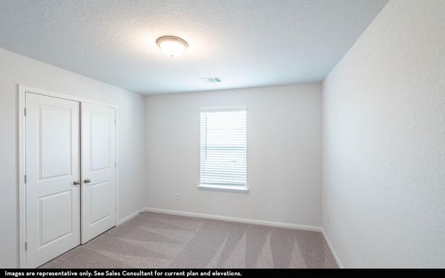 31015 Peck Pass Drive, Waller, TX 77484