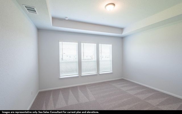 31015 Peck Pass Drive, Waller, TX 77484