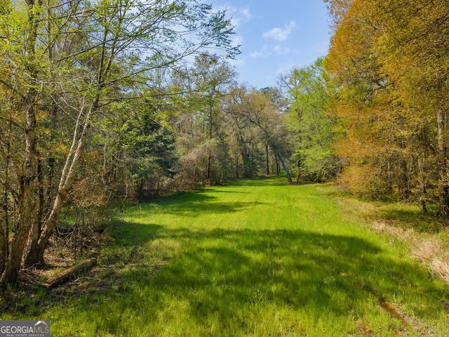 4103 Hadley Ferry Road, Cairo, GA 39828