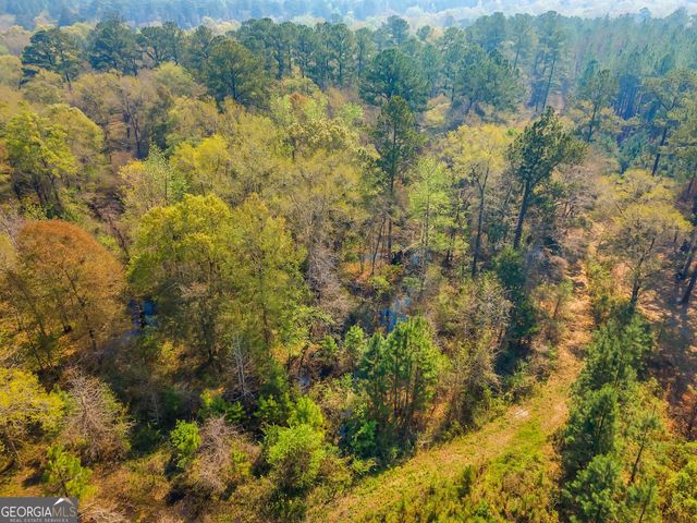 4103 Hadley Ferry Road, Cairo, GA 39828