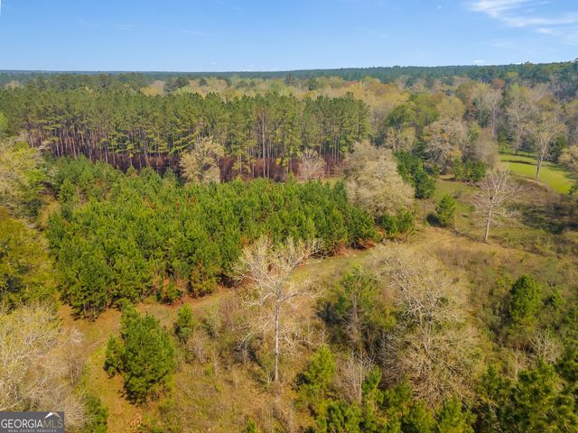 4103 Hadley Ferry Road, Cairo, GA 39828