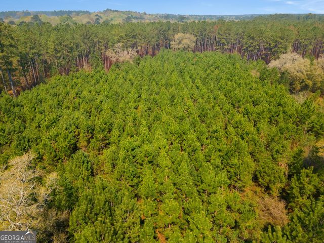 4103 Hadley Ferry Road, Cairo, GA 39828