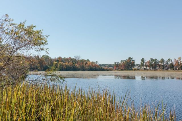 516 Alderly Drive, Moncks Corner, SC 29461