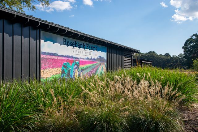 7021 Sounding Lane, Johns Island, SC 29455