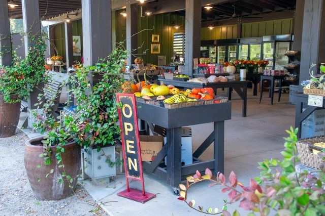 7021 Sounding Lane, Johns Island, SC 29455