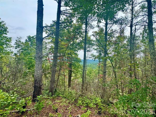 1.46 acres, Lot 48 Tomahawk Ridge Drive Lot 48, Lenoir, NC 28645