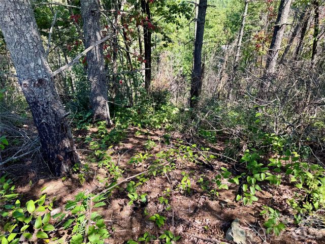 1.46 acres, Lot 48 Tomahawk Ridge Drive Lot 48, Lenoir, NC 28645