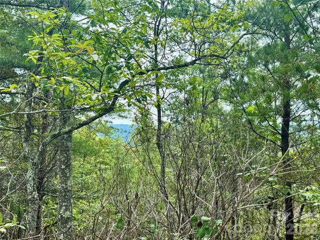1.46 acres, Lot 48 Tomahawk Ridge Drive Lot 48, Lenoir, NC 28645