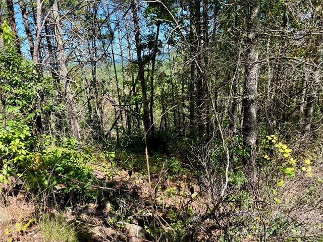 1.46 acres, Lot 48 Tomahawk Ridge Drive Lot 48, Lenoir, NC 28645