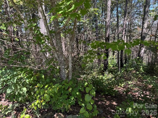 1.46 acres, Lot 48 Tomahawk Ridge Drive Lot 48, Lenoir, NC 28645