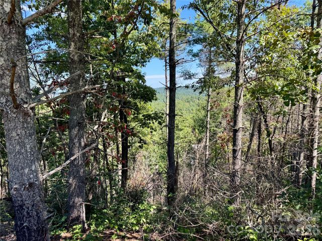 1.46 acres, Lot 48 Tomahawk Ridge Drive Lot 48, Lenoir, NC 28645