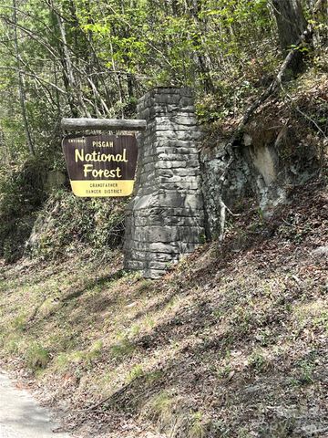 1.46 acres, Lot 48 Tomahawk Ridge Drive Lot 48, Lenoir, NC 28645