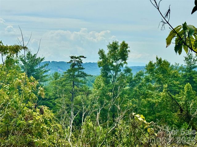 1.46 acres, Lot 48 Tomahawk Ridge Drive Lot 48, Lenoir, NC 28645