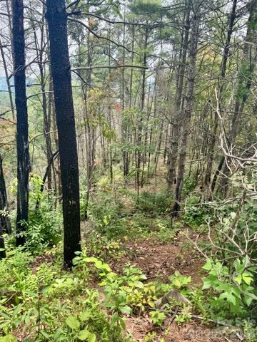 1.46 acres, Lot 48 Tomahawk Ridge Drive Lot 48, Lenoir, NC 28645
