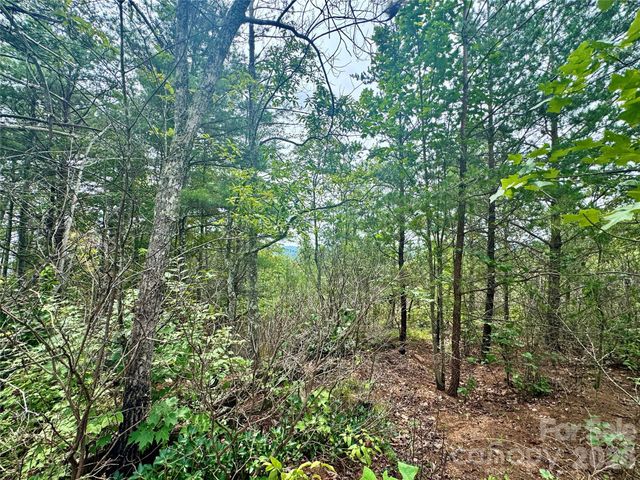1.46 acres, Lot 48 Tomahawk Ridge Drive Lot 48, Lenoir, NC 28645