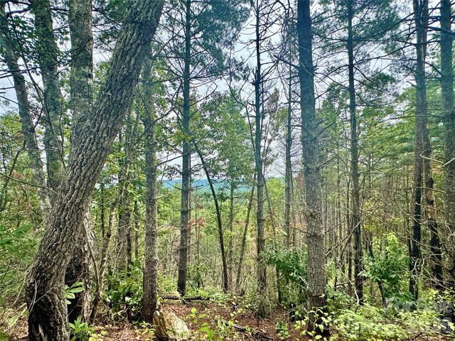1.46 acres, Lot 48 Tomahawk Ridge Drive Lot 48, Lenoir, NC 28645