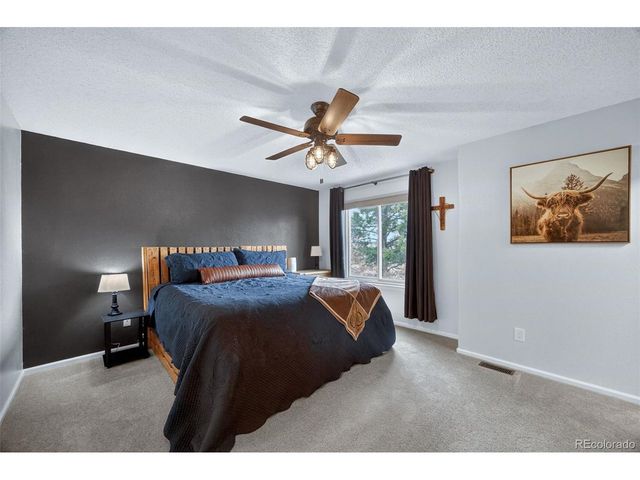 11306 Rodeo Cir, Parker, CO 80138