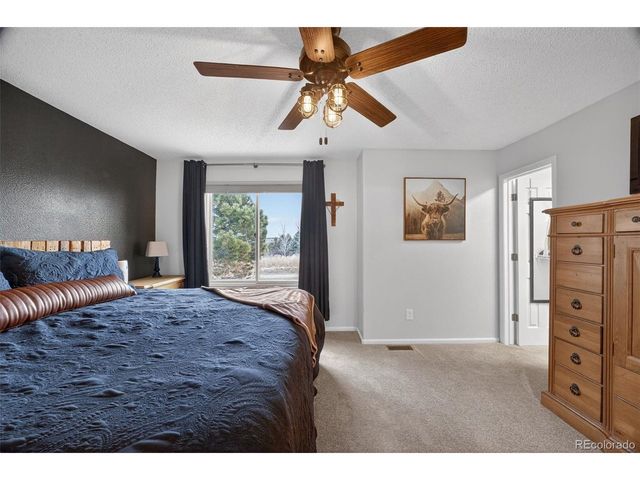 11306 Rodeo Cir, Parker, CO 80138