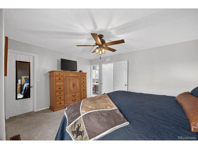 11306 Rodeo Cir, Parker, CO 80138