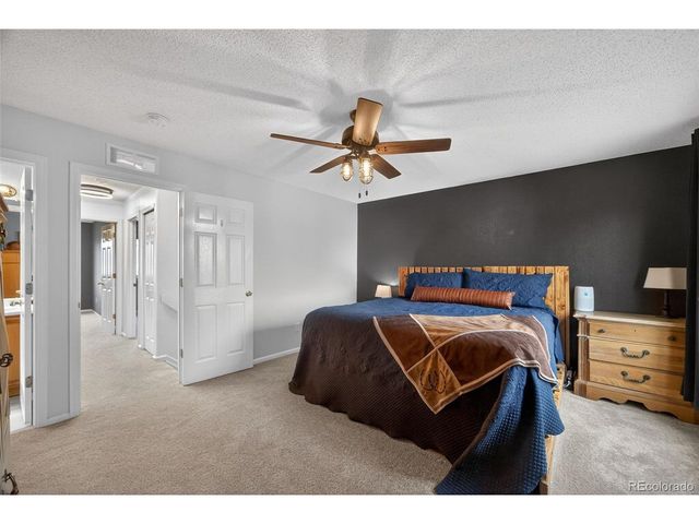 11306 Rodeo Cir, Parker, CO 80138