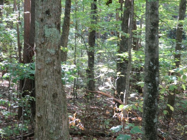 00 Lower Sassafras Parkway, Jasper, GA 30143