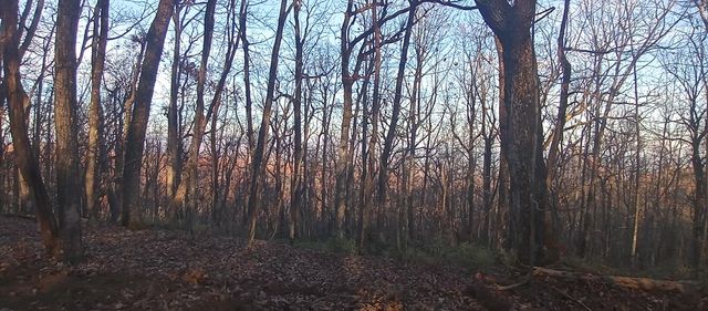 00 Lower Sassafras Parkway, Jasper, GA 30143