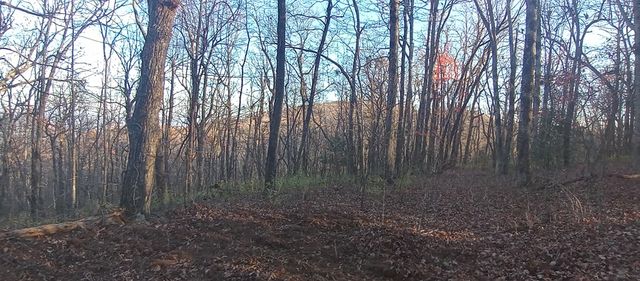 00 Lower Sassafras Parkway, Jasper, GA 30143