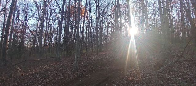 00 Lower Sassafras Parkway, Jasper, GA 30143