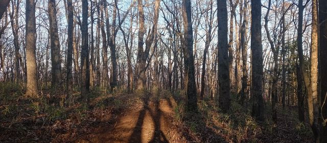 00 Lower Sassafras Parkway, Jasper, GA 30143