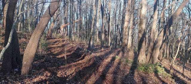 00 Lower Sassafras Parkway, Jasper, GA 30143