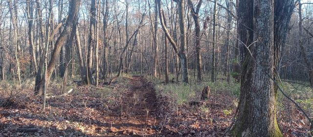 00 Lower Sassafras Parkway, Jasper, GA 30143