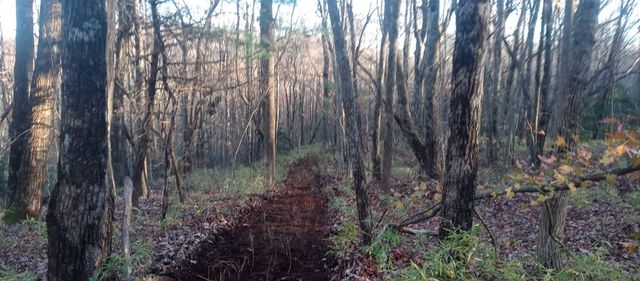 00 Lower Sassafras Parkway, Jasper, GA 30143