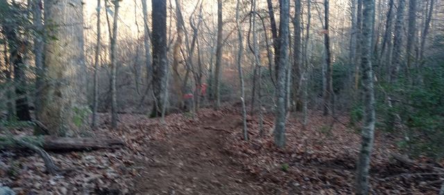 00 Lower Sassafras Parkway, Jasper, GA 30143